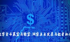 数字货币赢家与输家：洞