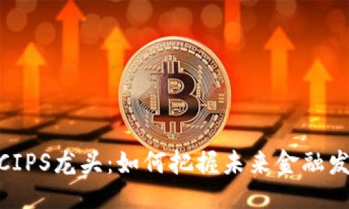 与关键词

数字货币CIPS龙头：如何把握未来金融发展的机遇
