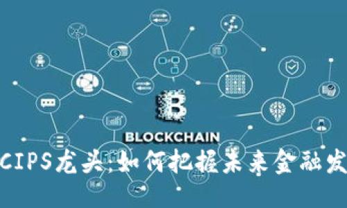 与关键词

数字货币CIPS龙头：如何把握未来金融发展的机遇