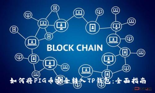 如何将PIG币安全转入TP钱包：全面指南