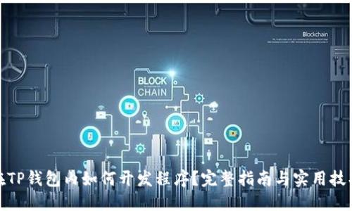 在TP钱包内如何开发程序？完整指南与实用技巧