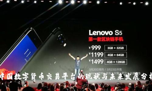 中国数字货币交易平台的现状与未来发展分析